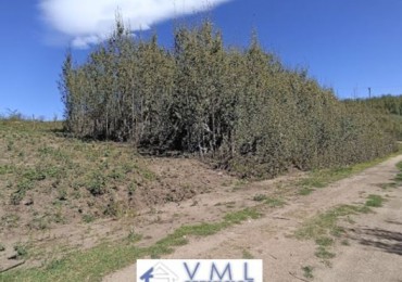 VIlla Yacanto! en venta muy lindo lote cerca de la ruta